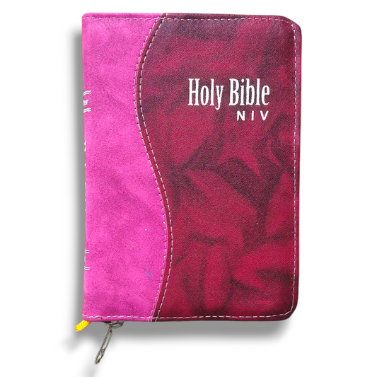 NIV Compact Edition Bible | Thumb Index Bible | With Light Brown & Red Attractive Design Bound |  New Edition Bible Duo-Tone | D
