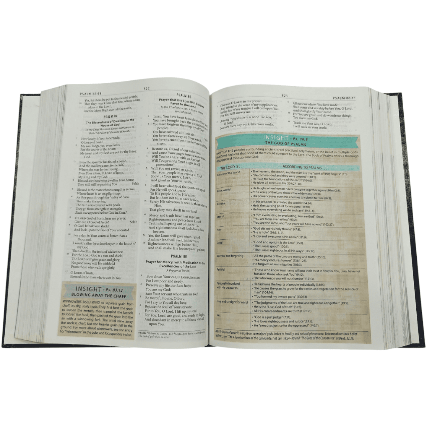 The Modern Life Study Bible, Hardcover: Practical Truth for Everyday Life - Featuring Insights from Today's Leaders - 9781401675141