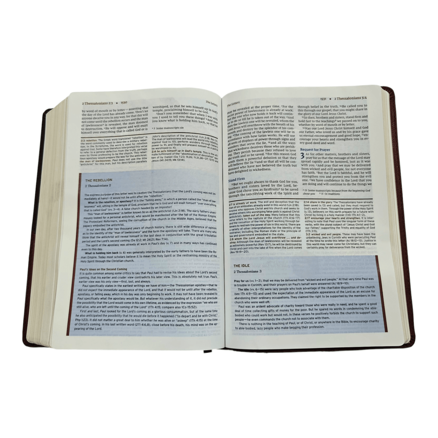 NIV, Halley's Study Bible, Hardcover: Delve Deeper into God's Word with Classic Study Notes and Archaeological Insights