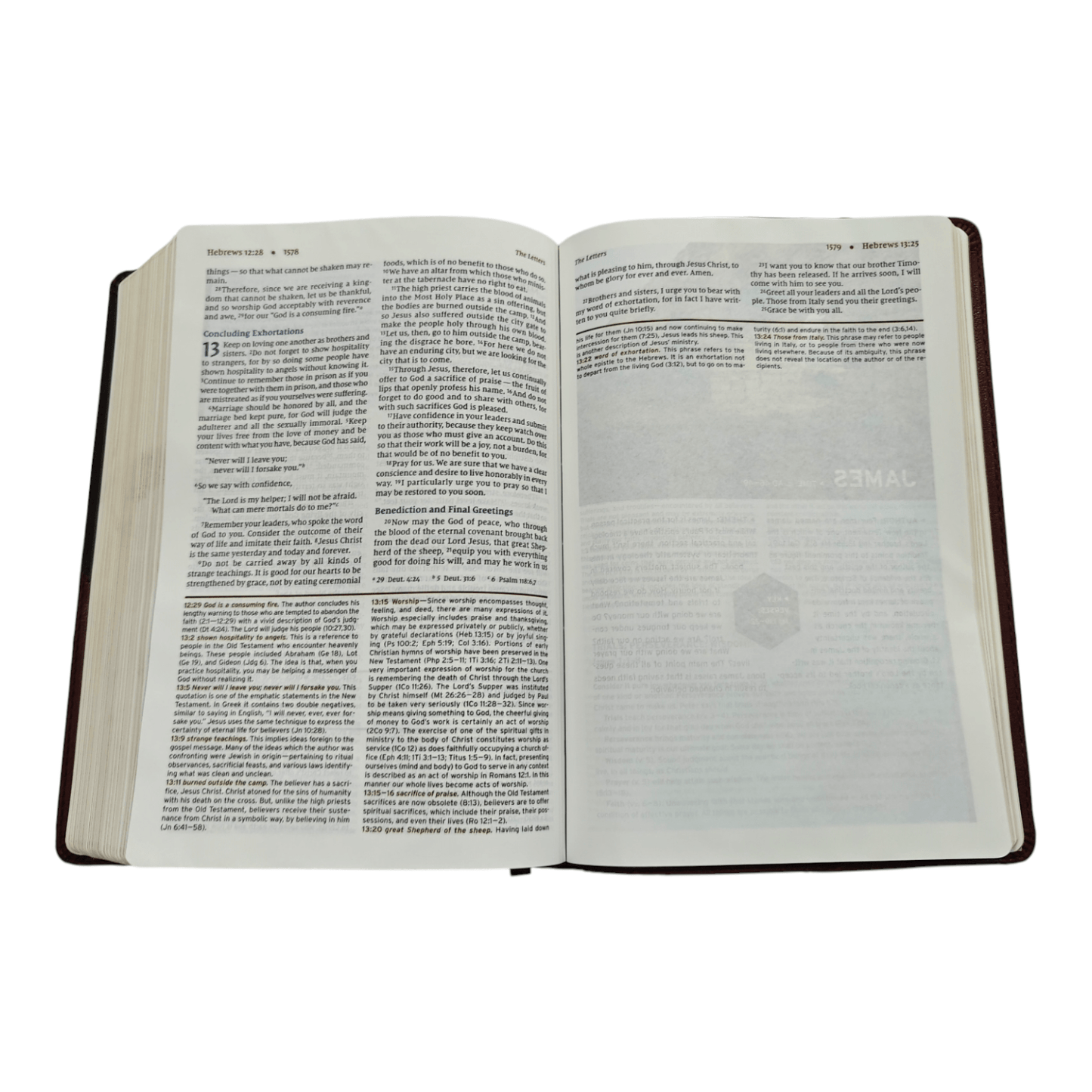 NIV, Halley's Study Bible, Hardcover: Delve Deeper into God's Word with Classic Study Notes and Archaeological Insights
