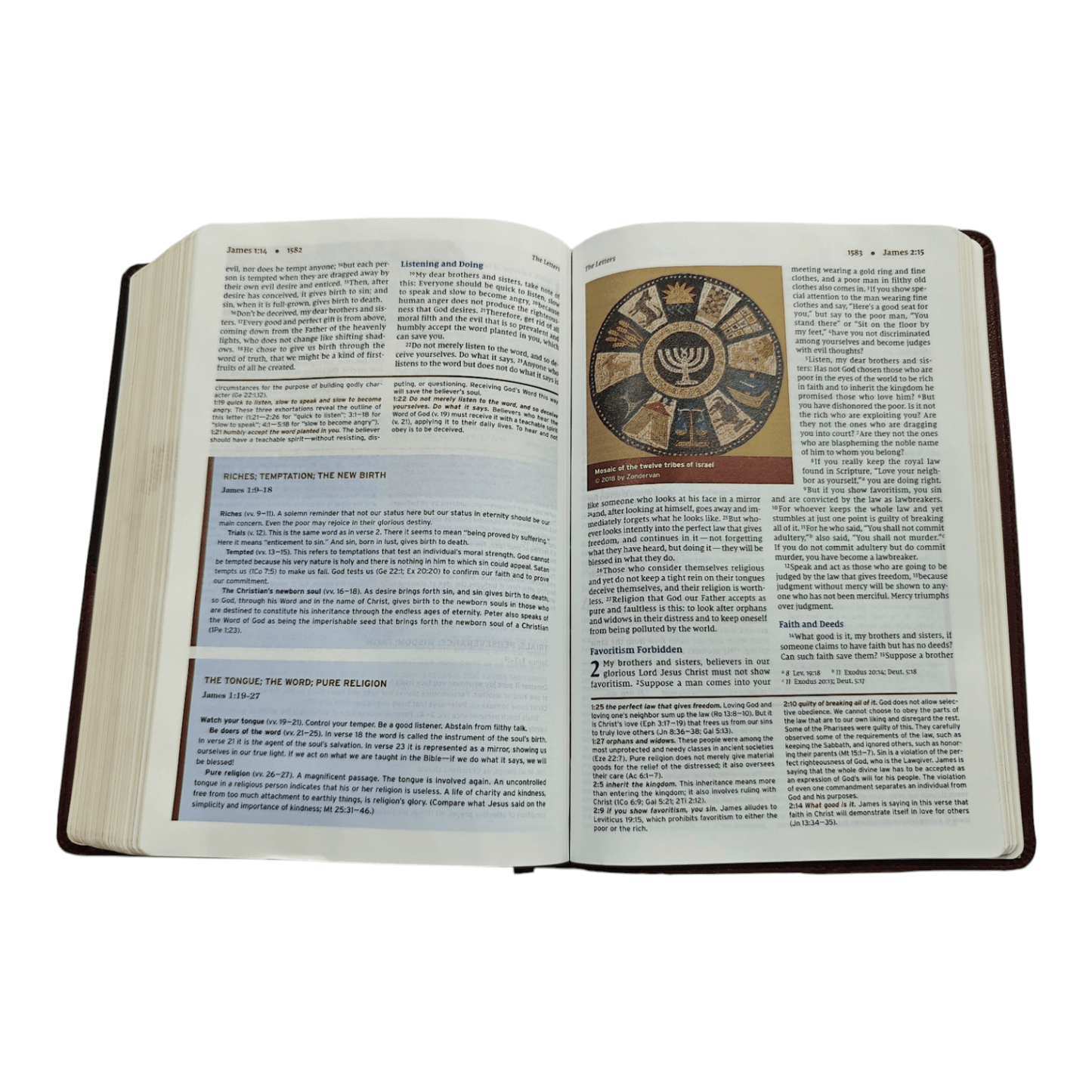 NIV, Halley's Study Bible, Hardcover: Delve Deeper into God's Word with Classic Study Notes and Archaeological Insights
