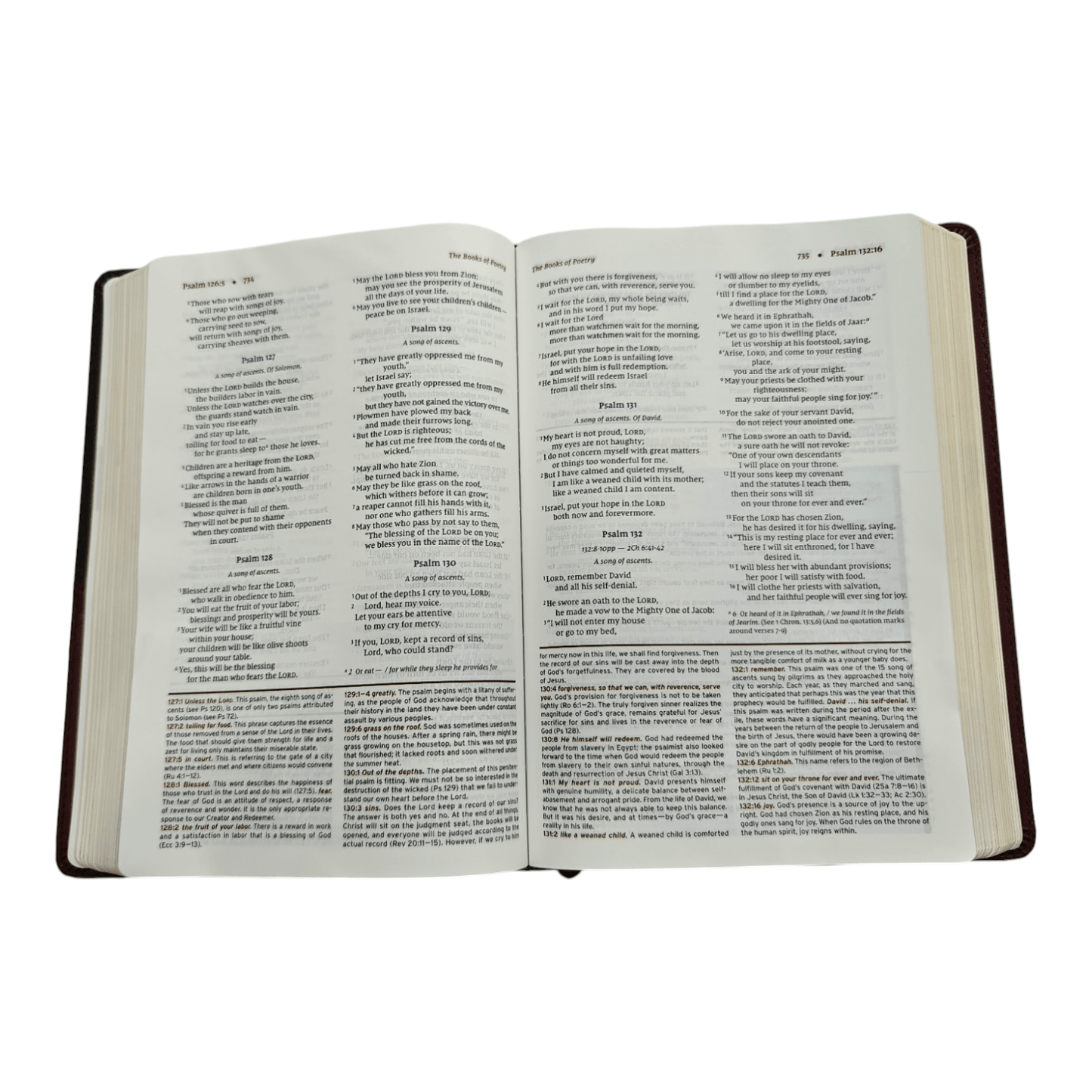 NIV, Halley's Study Bible, Hardcover: Delve Deeper into God's Word with Classic Study Notes and Archaeological Insights