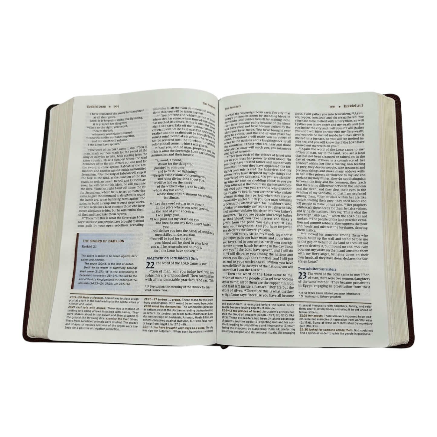 NIV, Halley's Study Bible, Hardcover: Delve Deeper into God's Word with Classic Study Notes and Archaeological Insights