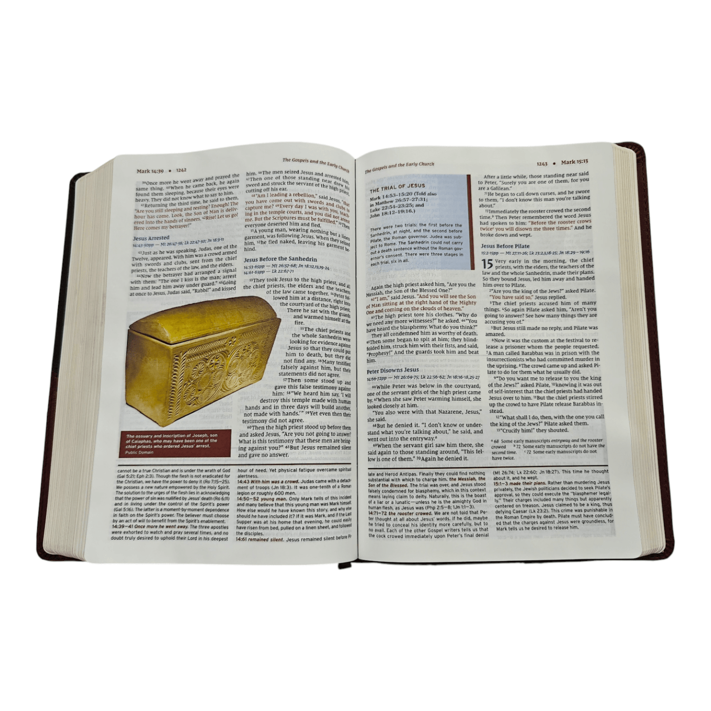 NIV, Halley's Study Bible, Hardcover: Delve Deeper into God's Word with Classic Study Notes and Archaeological Insights