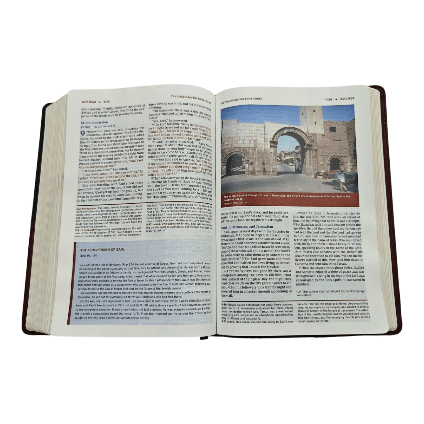 NIV, Halley's Study Bible, Hardcover: Delve Deeper into God's Word with Classic Study Notes and Archaeological Insights