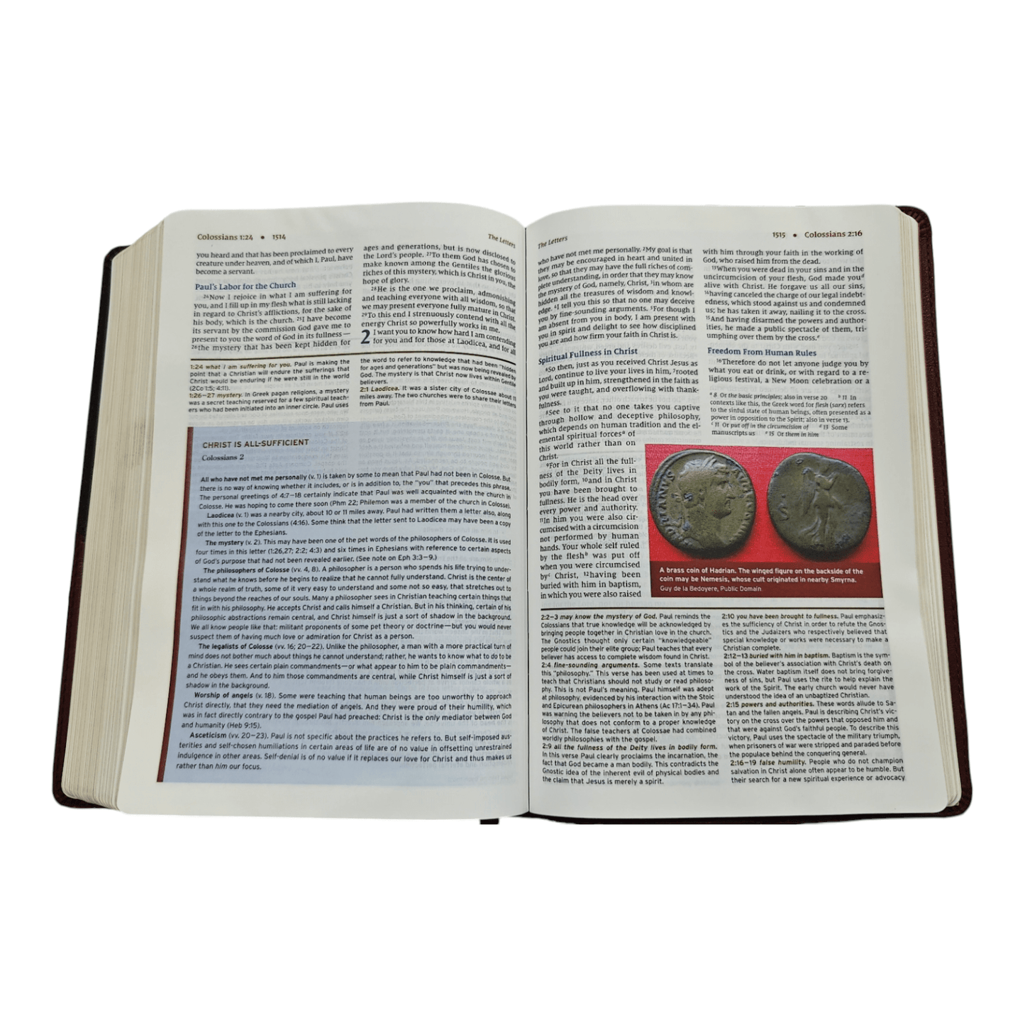 NIV, Halley's Study Bible, Hardcover: Delve Deeper into God's Word with Classic Study Notes and Archaeological Insights