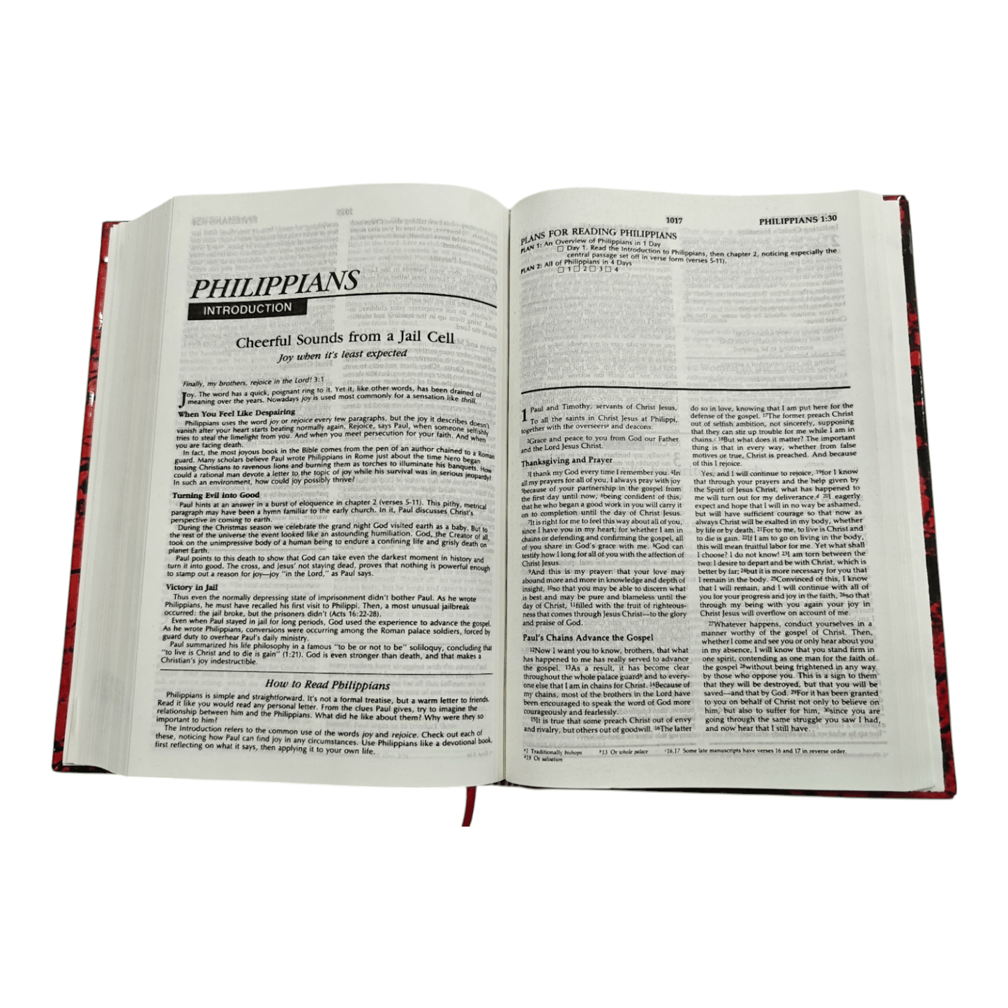 NIV The Family Devotional Study Bible, Hardcover: A Year of Weekly Devotions for Growing Together in Faith