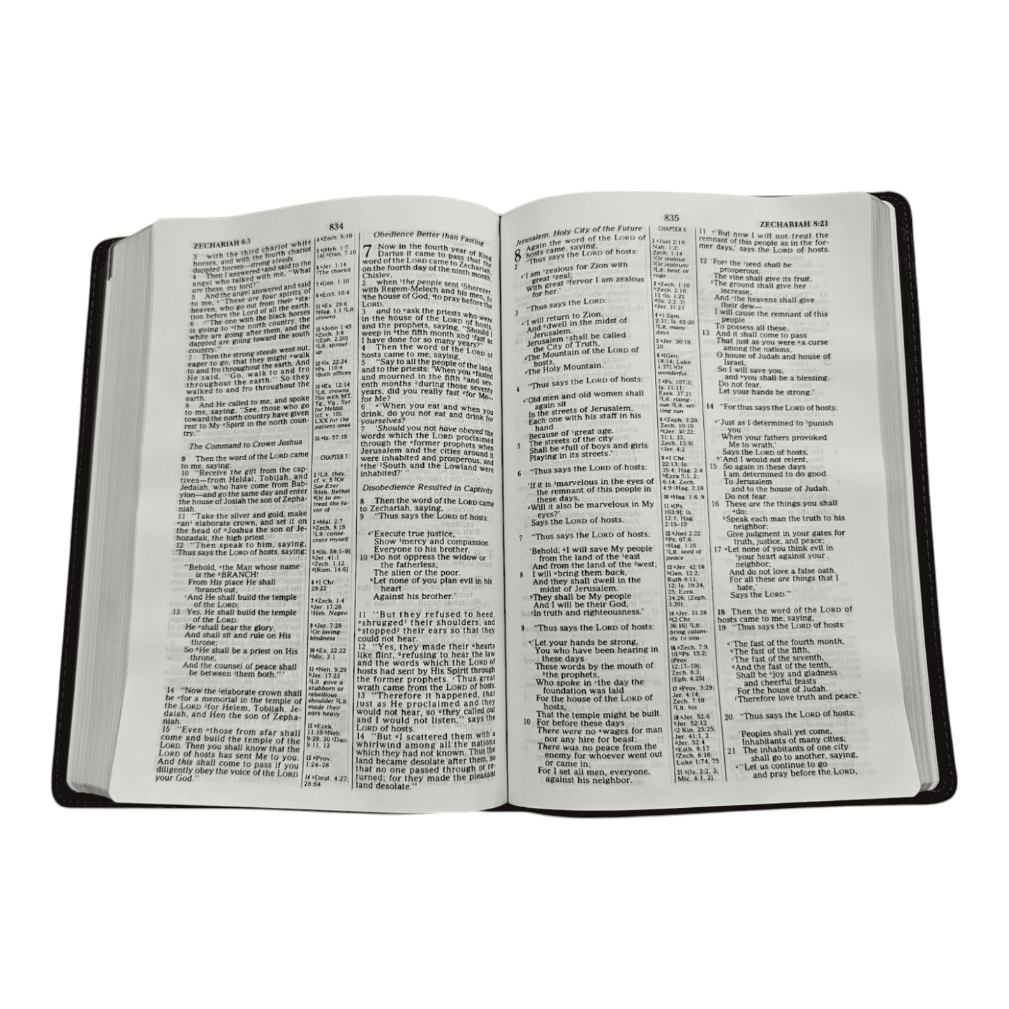 NKJV Large Print Ultrathin Reference Bible, Leathersoft, Brown, Comfort Print® - Easy-to-Read, Easy-to-Carry - 9781535905268