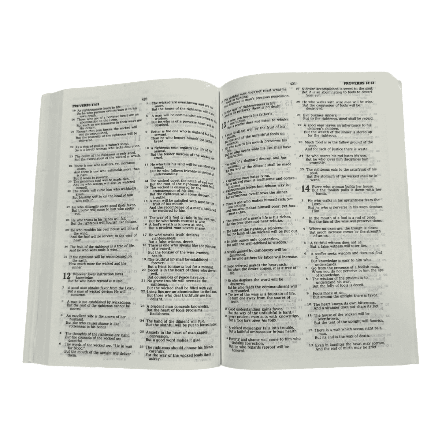 NKJV, The Complete Bible Dictionary and Concordance: A 3-in-1 Ultimate Reference Resource for NKJV Study (Value-Priced Edition)