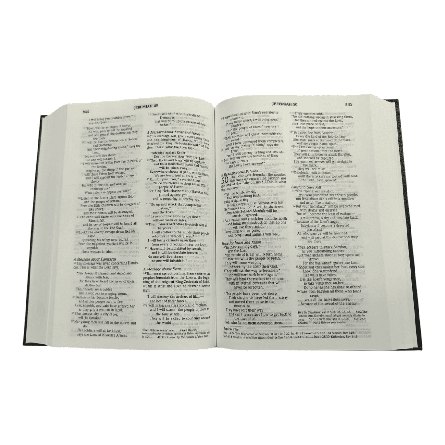NLT Topical Study Bible, Hardcover: Find Biblical Answers to Life's Questions - Over 600 Topics & Themes - 9784882811084