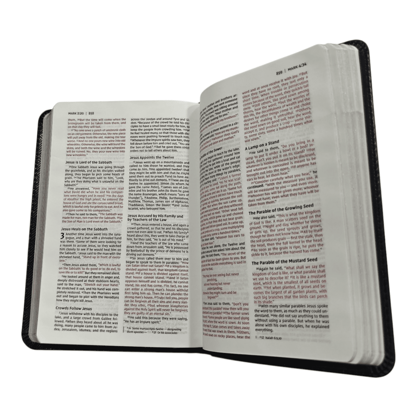 NIV Thinline Bible, Compact, Leathersoft, Brown, Red Letter Edition: Large Print, Easy-to-Carry, Ribbon Marker, Gift Box