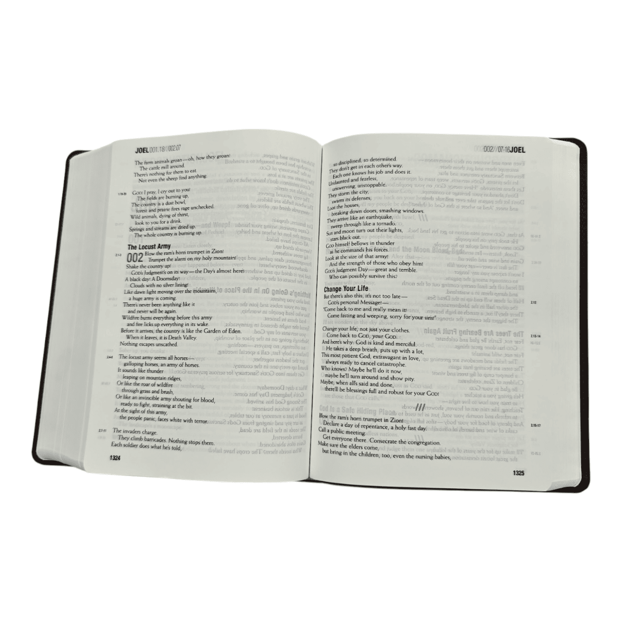 The Message Remix: The Bible in Contemporary Language, Paperback - Eugene Peterson's Paraphrase for Today's Reader - 978161291504