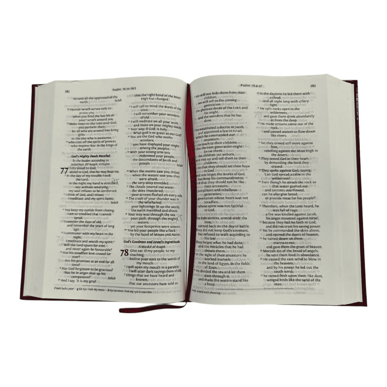 NRSV Bible with Concordance, Hardcover, Black: New Revised Standard Version, Giant Print, Words of Christ in Red, Gift