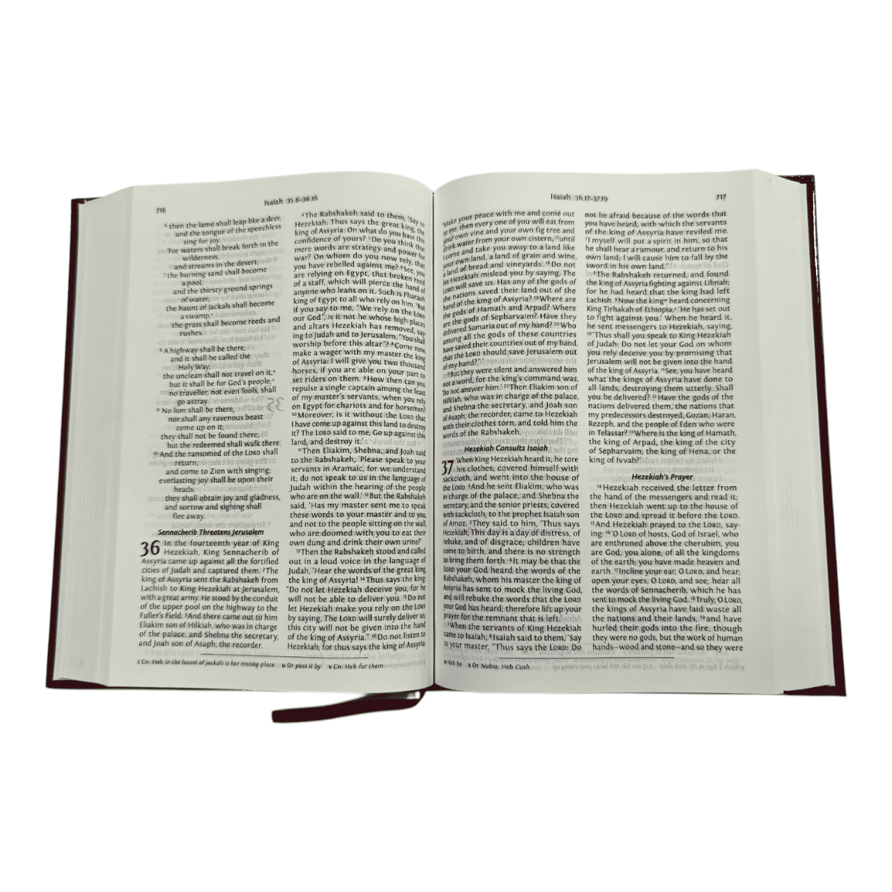 NRSV Bible with Concordance, Hardcover, Black: New Revised Standard Version, Giant Print, Words of Christ in Red, Gift