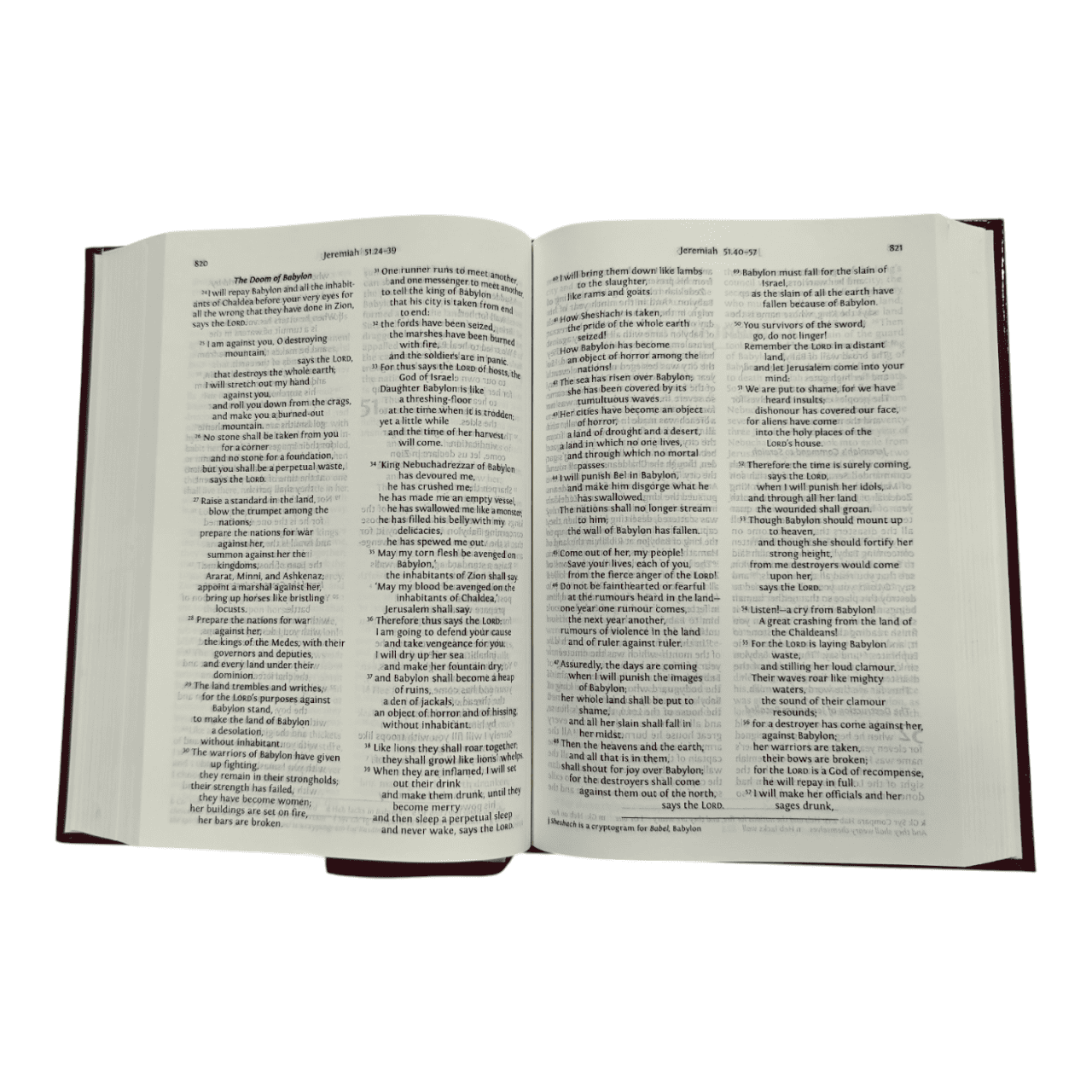 NRSV Bible with Concordance, Hardcover, Black: New Revised Standard Version, Giant Print, Words of Christ in Red, Gift