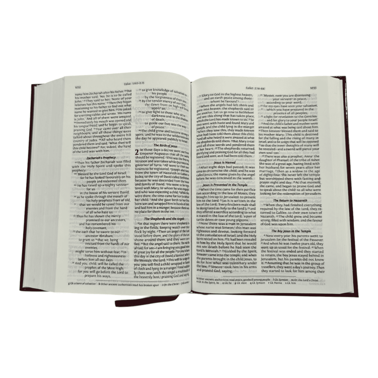NRSV Bible with Concordance, Hardcover, Black: New Revised Standard Version, Giant Print, Words of Christ in Red, Gift
