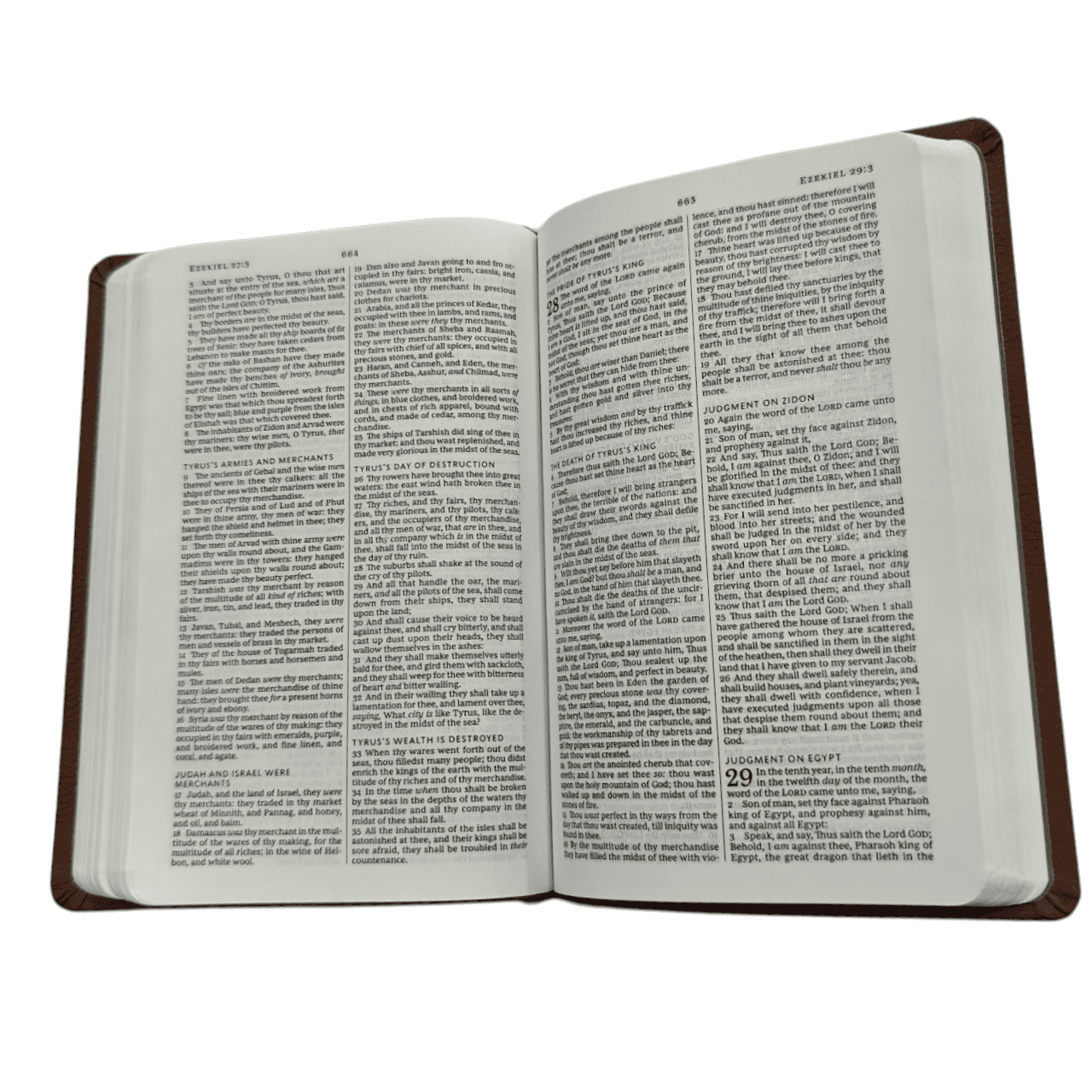 KJV Value Compact Thinline Bible, Brown Leatherflex, Red Letter Edition