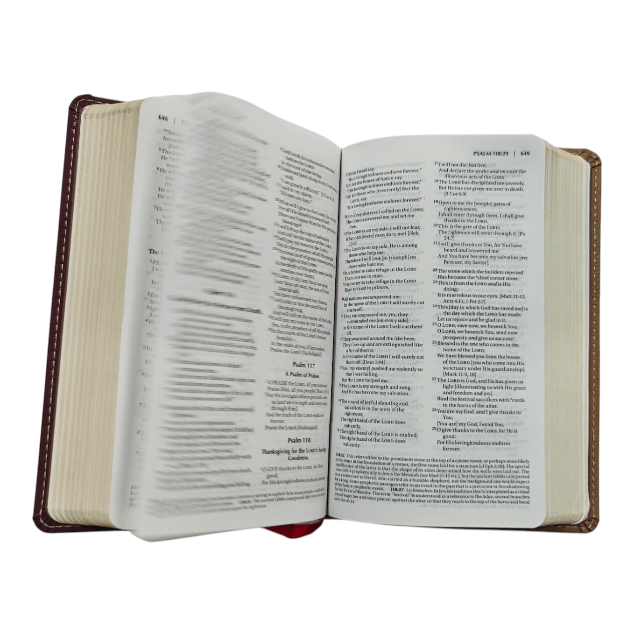Amplified Holy Bible, Compact, HardcAmplified Holy Bible, Compact, Hardcover: Captures the Full Meaning Behind the Original Greek and Hebrewover: Captures the Full Meaning Behind the Original Greek and Hebrew