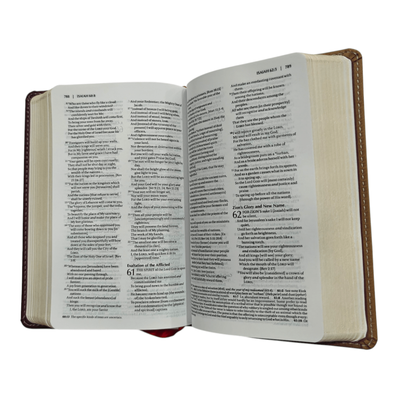 Amplified Holy Bible, Compact, HardcAmplified Holy Bible, Compact, Hardcover: Captures the Full Meaning Behind the Original Greek and Hebrewover: Captures the Full Meaning Behind the Original Greek and Hebrew