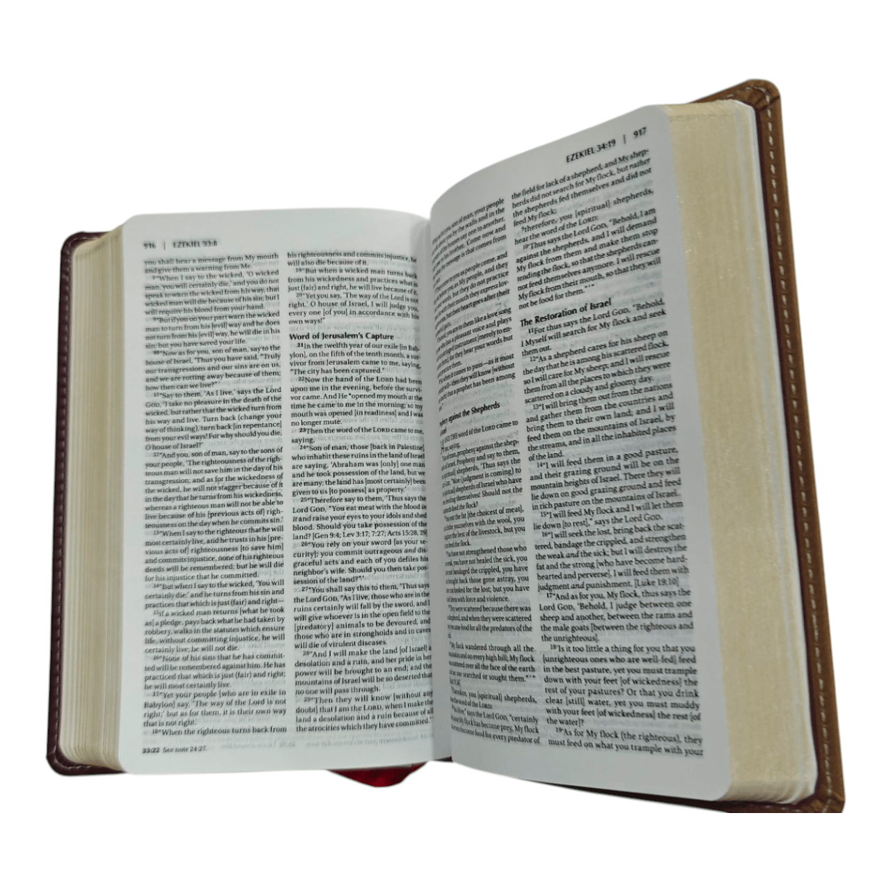 Amplified Holy Bible, Compact, HardcAmplified Holy Bible, Compact, Hardcover: Captures the Full Meaning Behind the Original Greek and Hebrewover: Captures the Full Meaning Behind the Original Greek and Hebrew