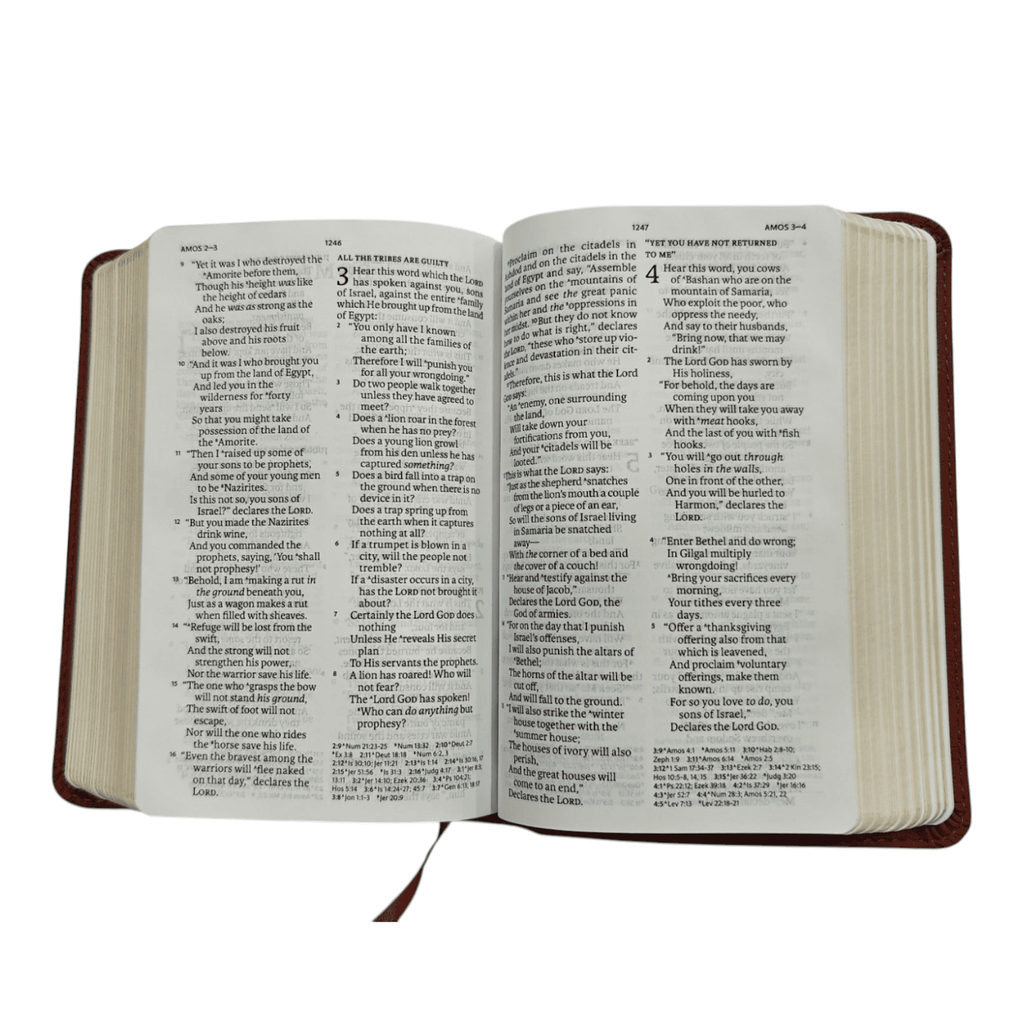 NASB Large Print Compact Reference Bible, Leathersoft, Black - Easy-to-Read Font in a Portable Size - 9781087765709
