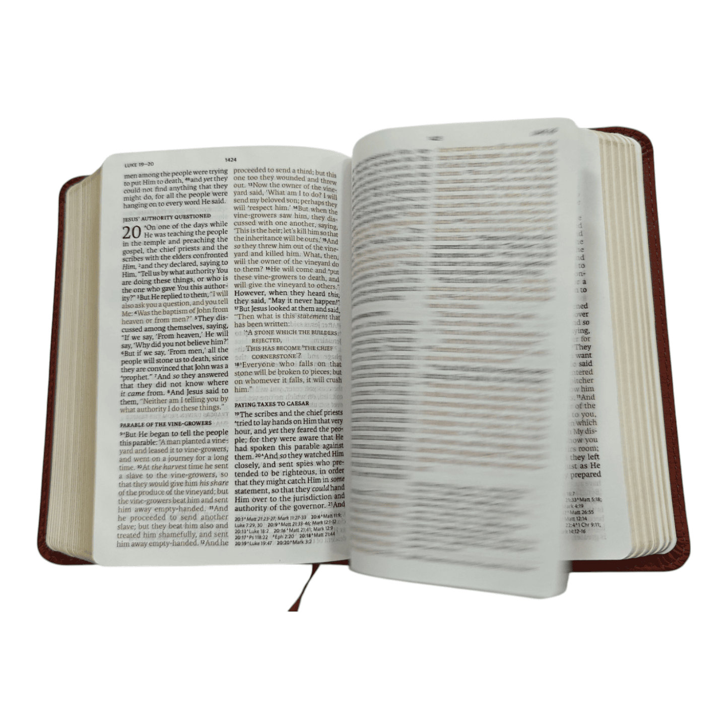 NASB Large Print Compact Reference Bible, Leathersoft, Black - Easy-to-Read Font in a Portable Size - 9781087765709