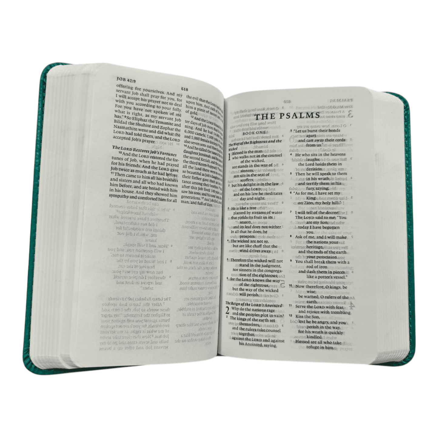 ESV Pocket Bible, TruTone, Brown, Leathersoft - Compact & Portable English Standard Version - 9781433581687
