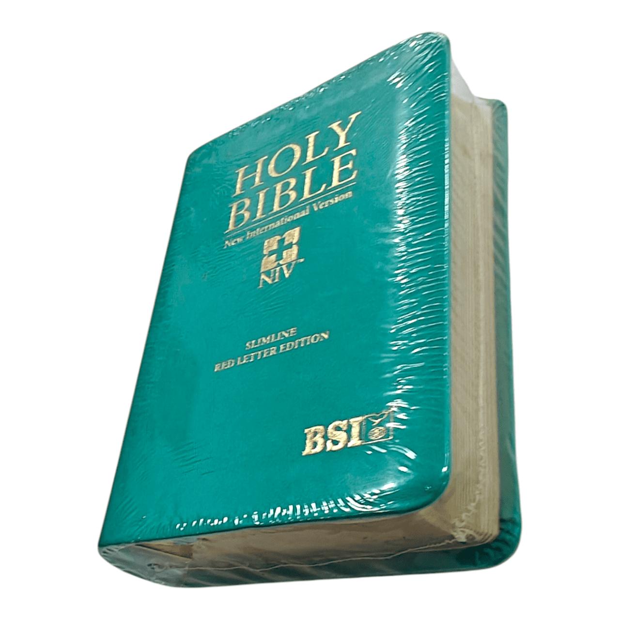 NIV Pocket Bible, Compact Size, Flexible Cover - Ultra-Portable New International Version for Everyday Carry - 97881190956681