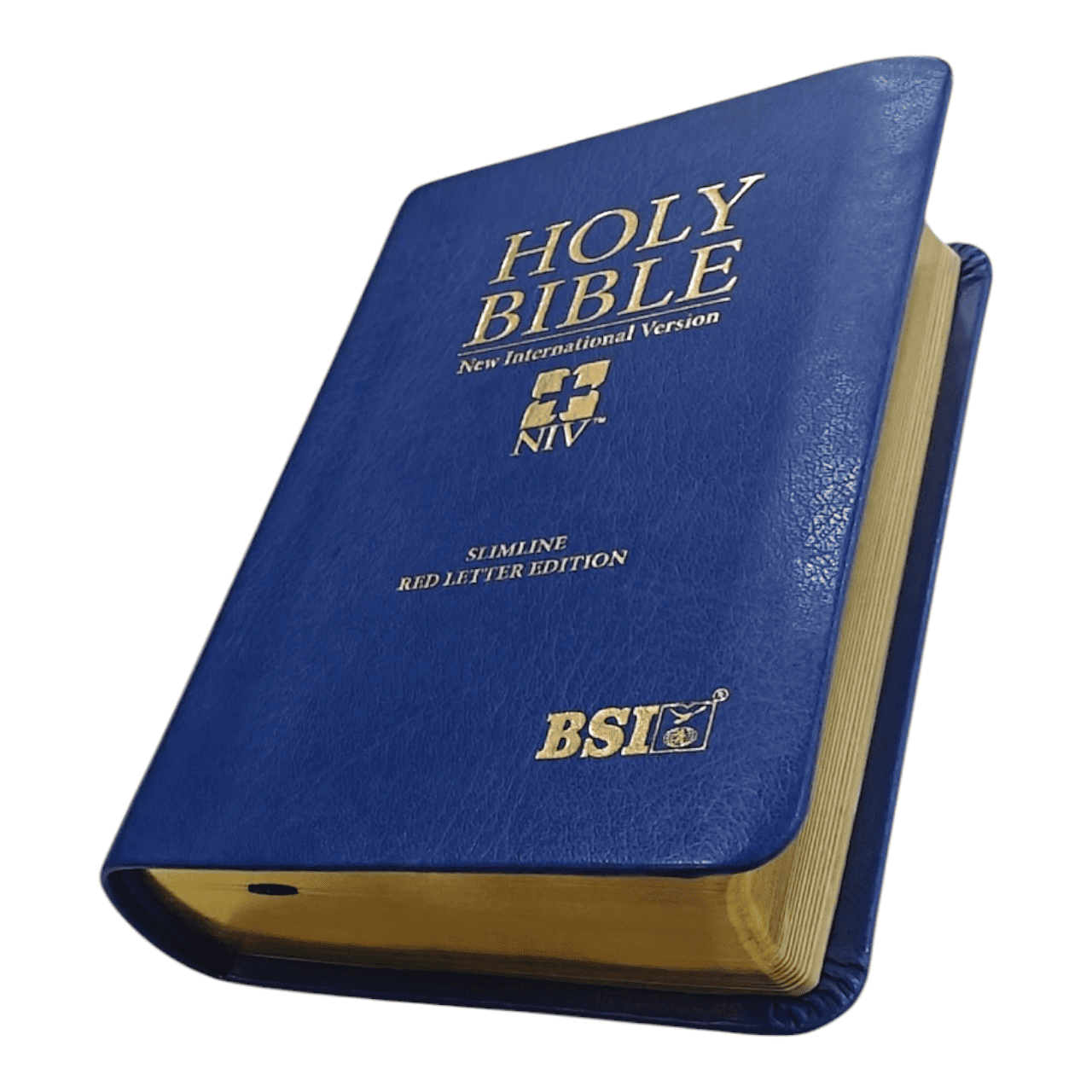 NIV Pocket Bible, Compact Size, Flexible Cover - Ultra-Portable New International Version for Everyday Carry - 97881190956681