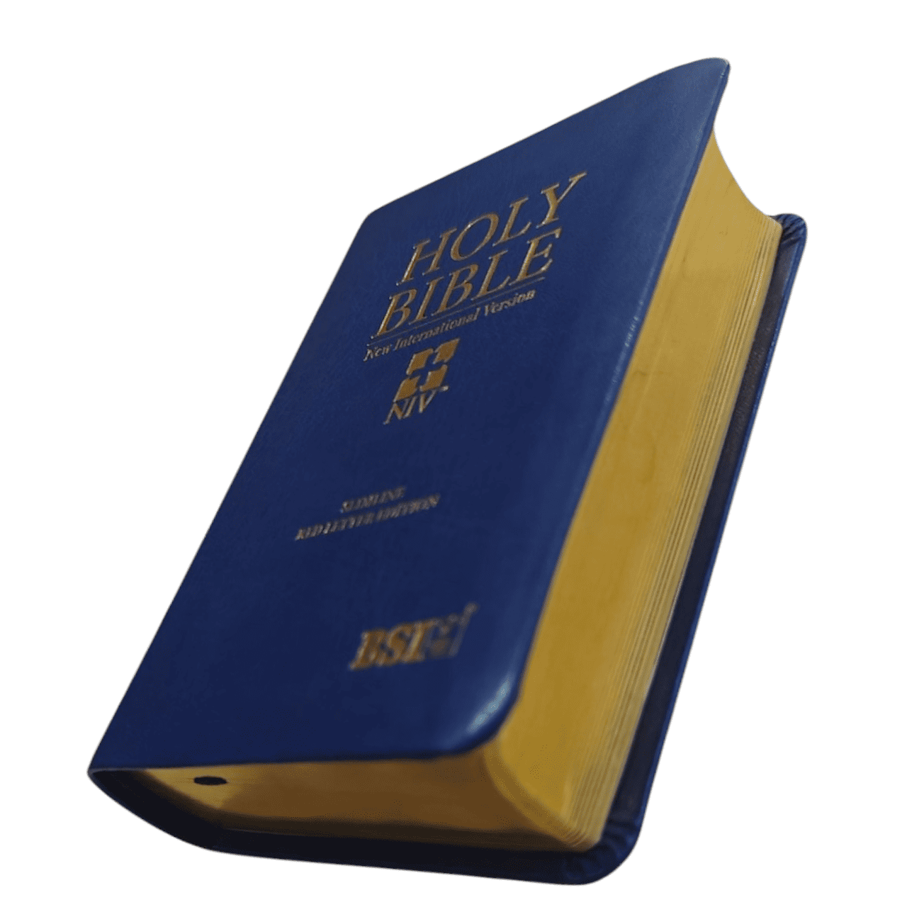 NIV Pocket Bible, Compact Size, Flexible Cover - Ultra-Portable New International Version for Everyday Carry - 97881190956681