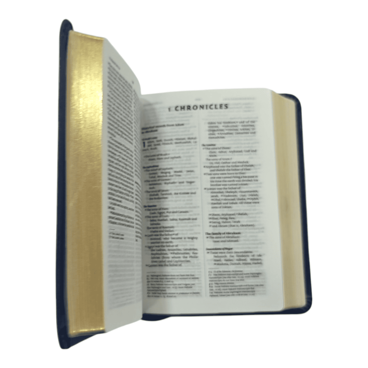 NIV Pocket Bible, Compact Size, Flexible Cover - Ultra-Portable New International Version for Everyday Carry - 97881190956681
