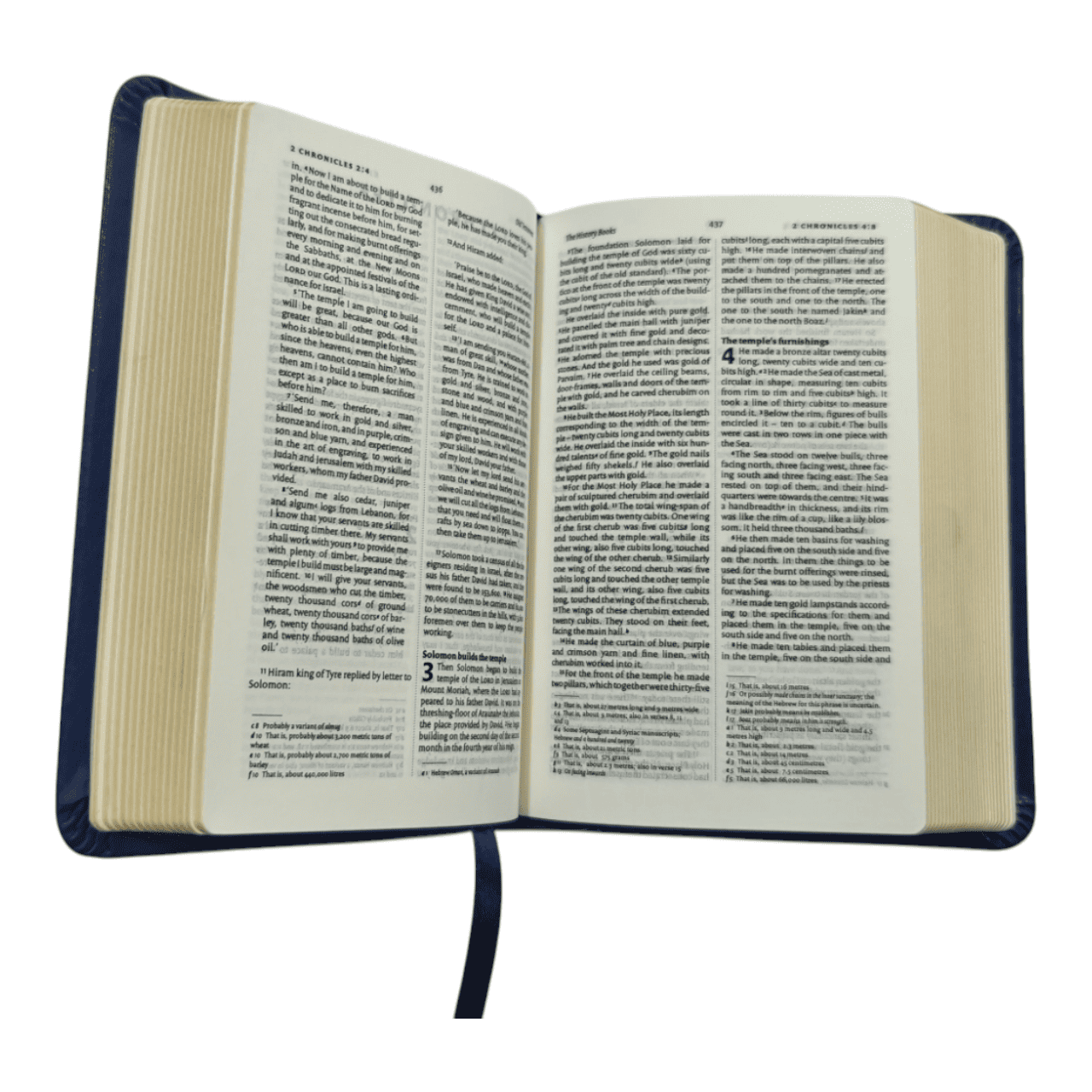 NIV Pocket Bible, Compact Size, Flexible Cover - Ultra-Portable New International Version for Everyday Carry - 97881190956681