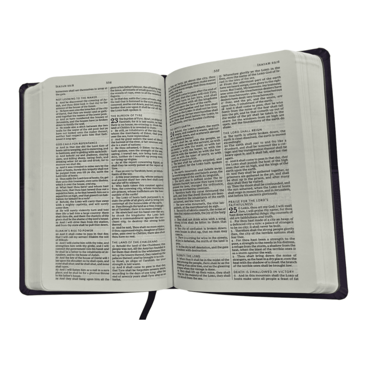 KJV Value Compact Thinline Bible, Brown, Leatherflex, Red Letter Edition - Easy-to-Carry King James Version - 9780785225850