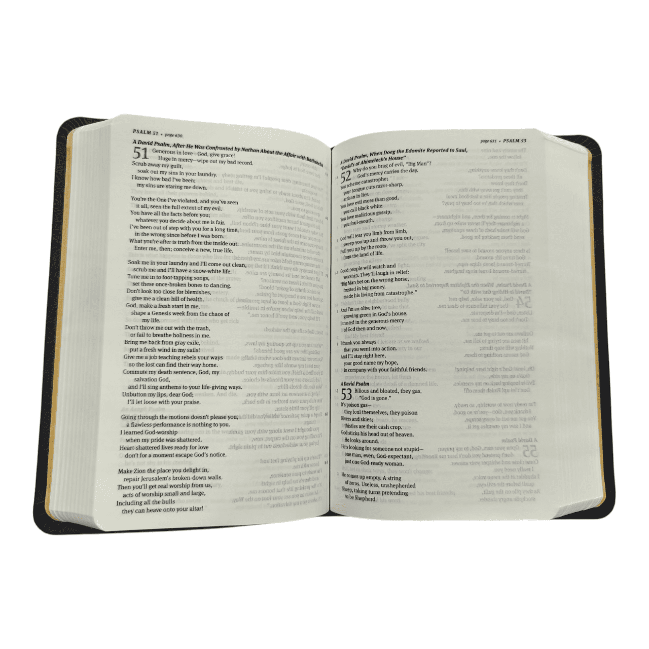 The Message Compact Bible, Flexible Cover: Portable Edition of The Contemporary Message Paraphrase - Eugene Peterson - 9781641583244