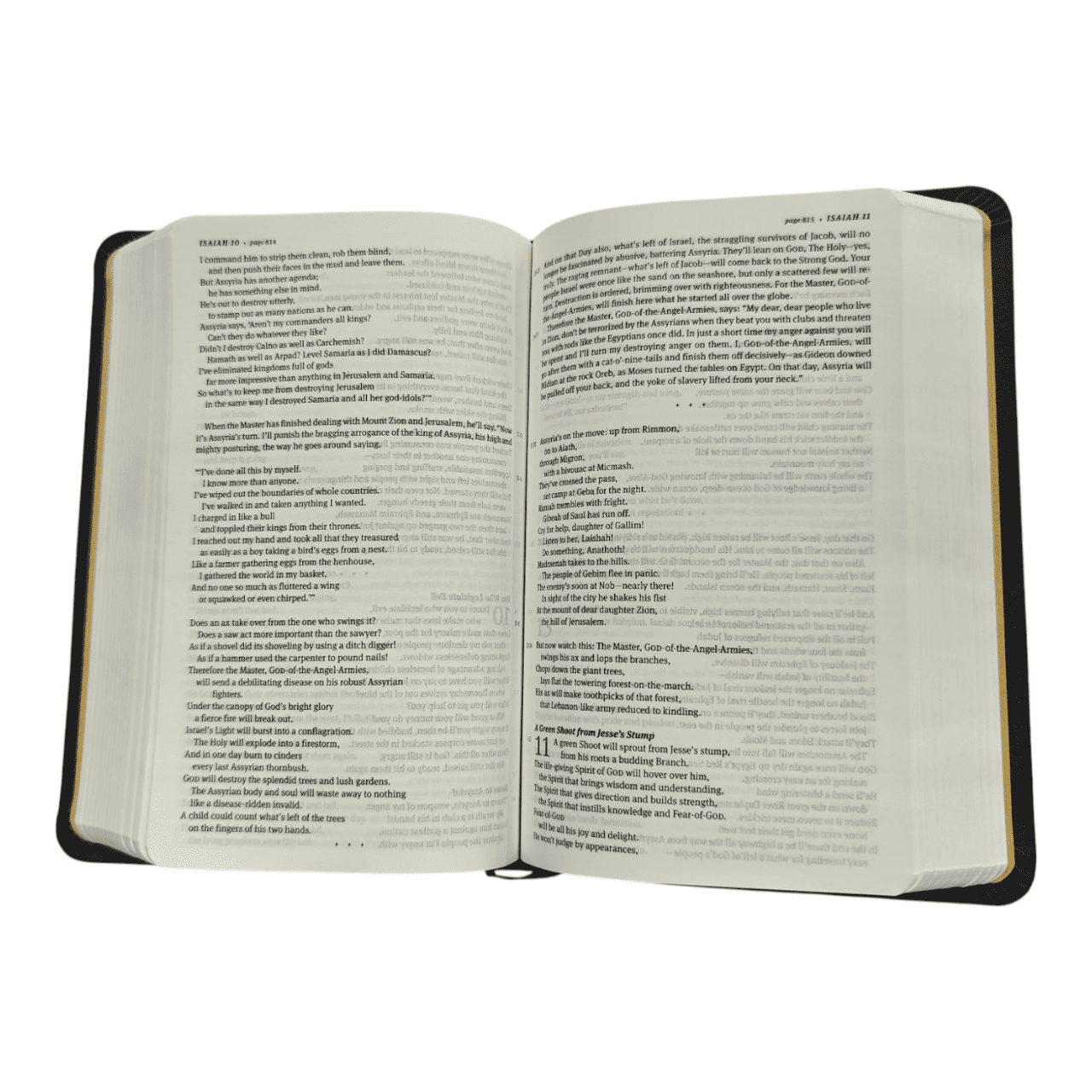 The Message Compact Bible, Flexible Cover: Portable Edition of The Contemporary Message Paraphrase - Eugene Peterson - 9781641583244