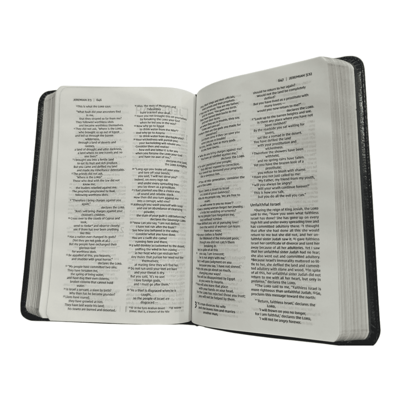 NIV Thinline Bible, Compact, Leathersoft, Burgundy, Red Letter Edition: Easy-to-Carry, Large Print, Ribbon Marker