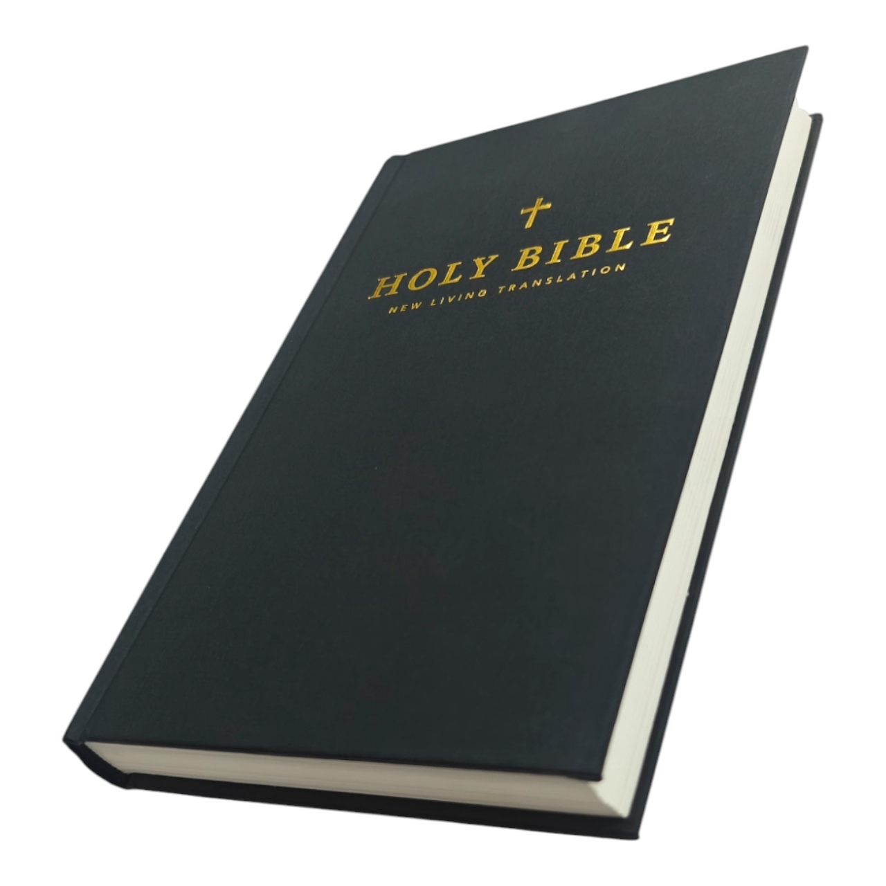 NLT Holy Bible, New Living Translation, Clear, Accurate & Easy-to-Read Bible for Daily Reading & Study (Complete Old & New Testament)