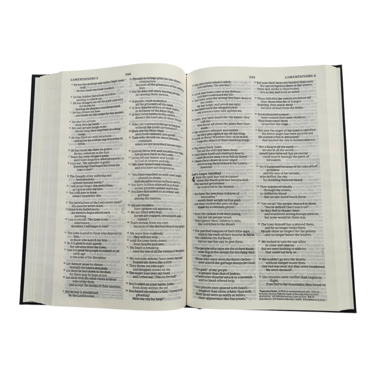 NLT Holy Bible, New Living Translation, Clear, Accurate & Easy-to-Read Bible for Daily Reading & Study (Complete Old & New Testament)
