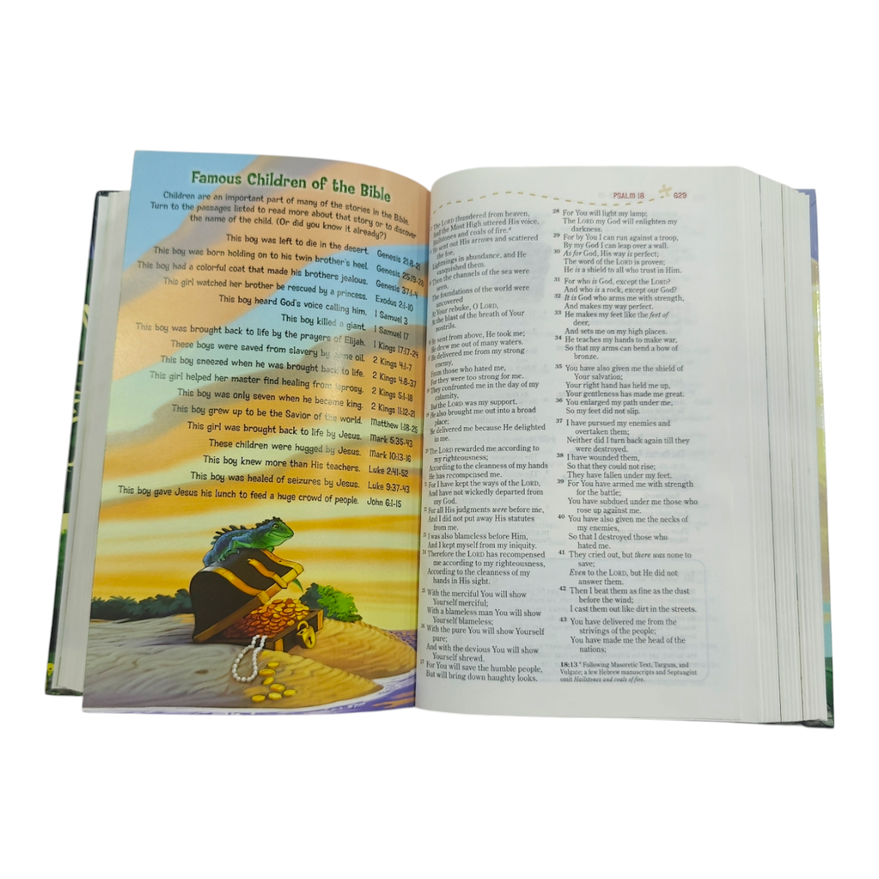 NKJV Adventure Bible, Hardcover, Full-Color (The #1 Bible for Kids)