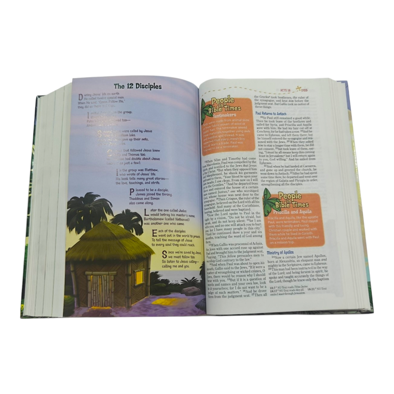 NKJV Adventure Bible, Hardcover, Full-Color (The #1 Bible for Kids)
