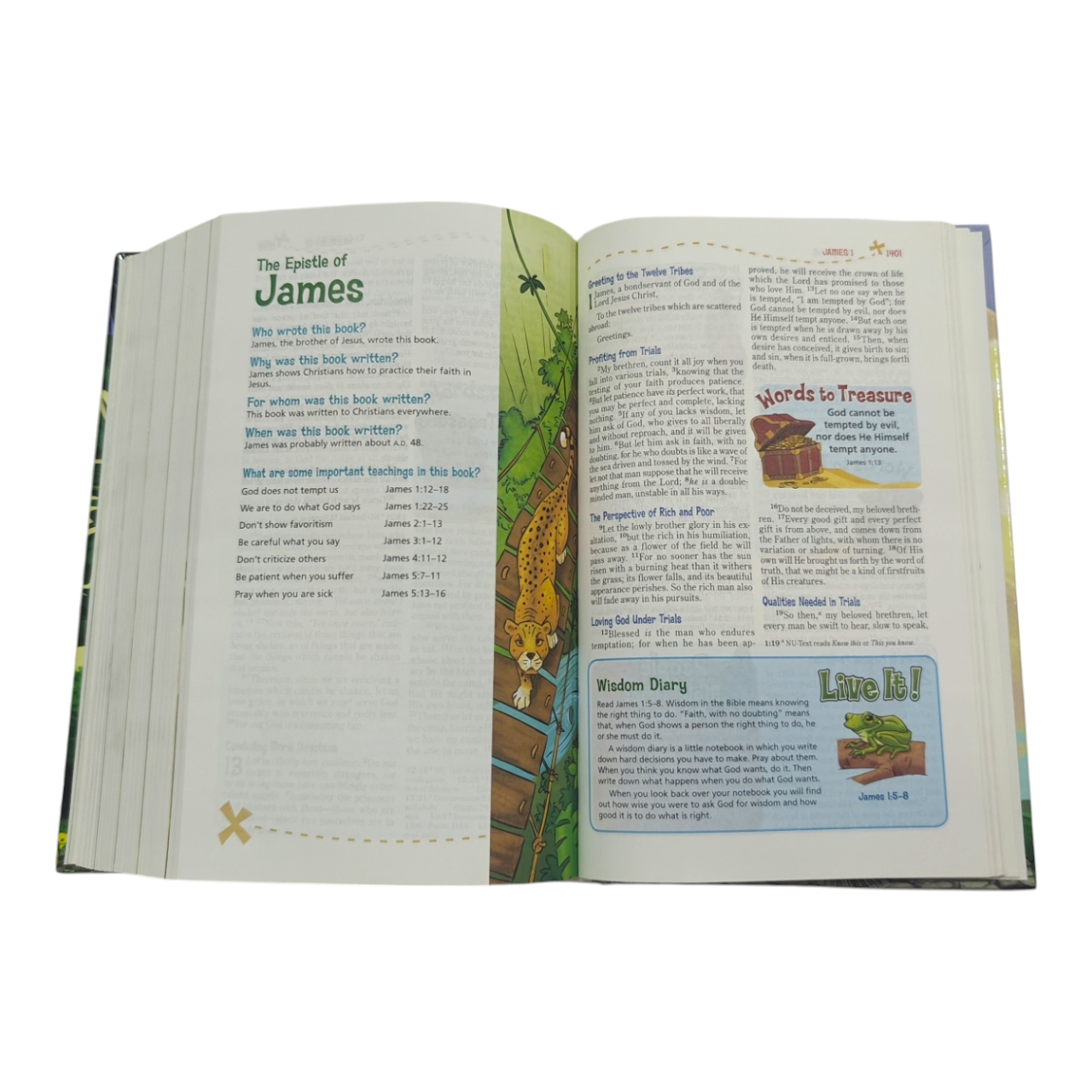 NKJV Adventure Bible, Hardcover, Full-Color (The #1 Bible for Kids)
