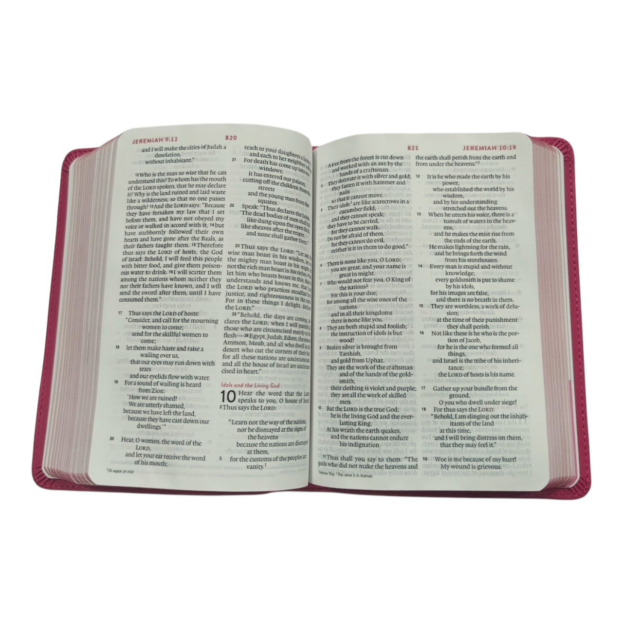 ESV Kid's Bible, Compact, TruTone, Forest Design - A Durable and Portable First Bible for Kids