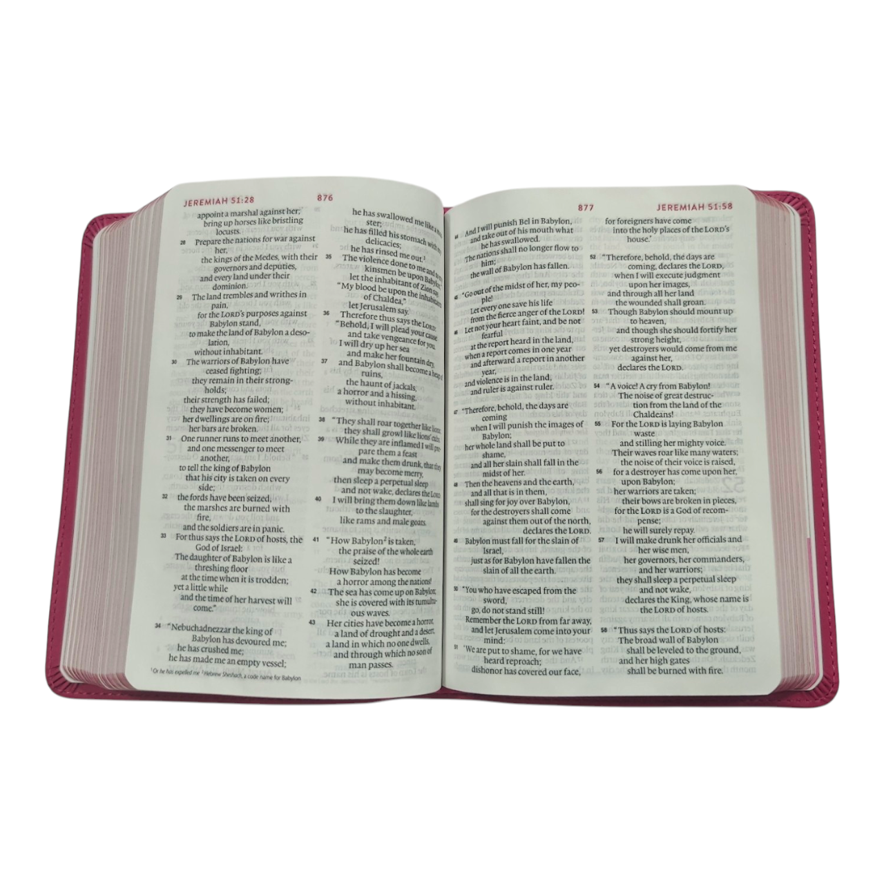 ESV Kid's Bible, Compact, TruTone, Forest Design - A Durable and Portable First Bible for Kids