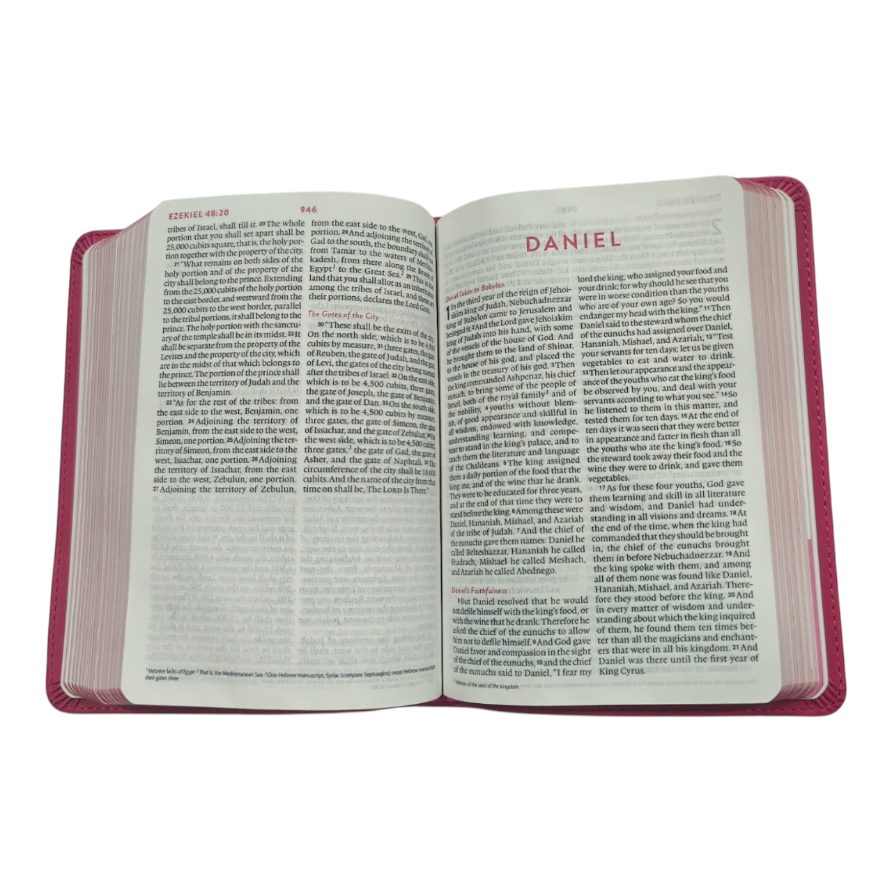 ESV Kid's Bible, Compact, TruTone, Forest Design - A Durable and Portable First Bible for Kids