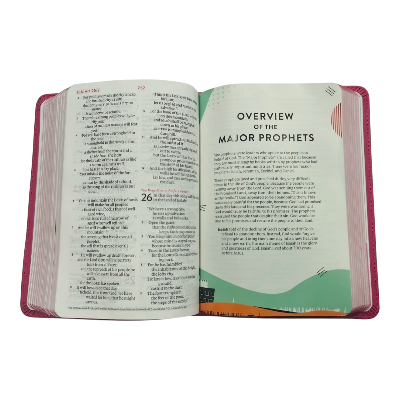 ESV Kid's Bible, Compact, TruTone, Forest Design - A Durable and Portable First Bible for Kids
