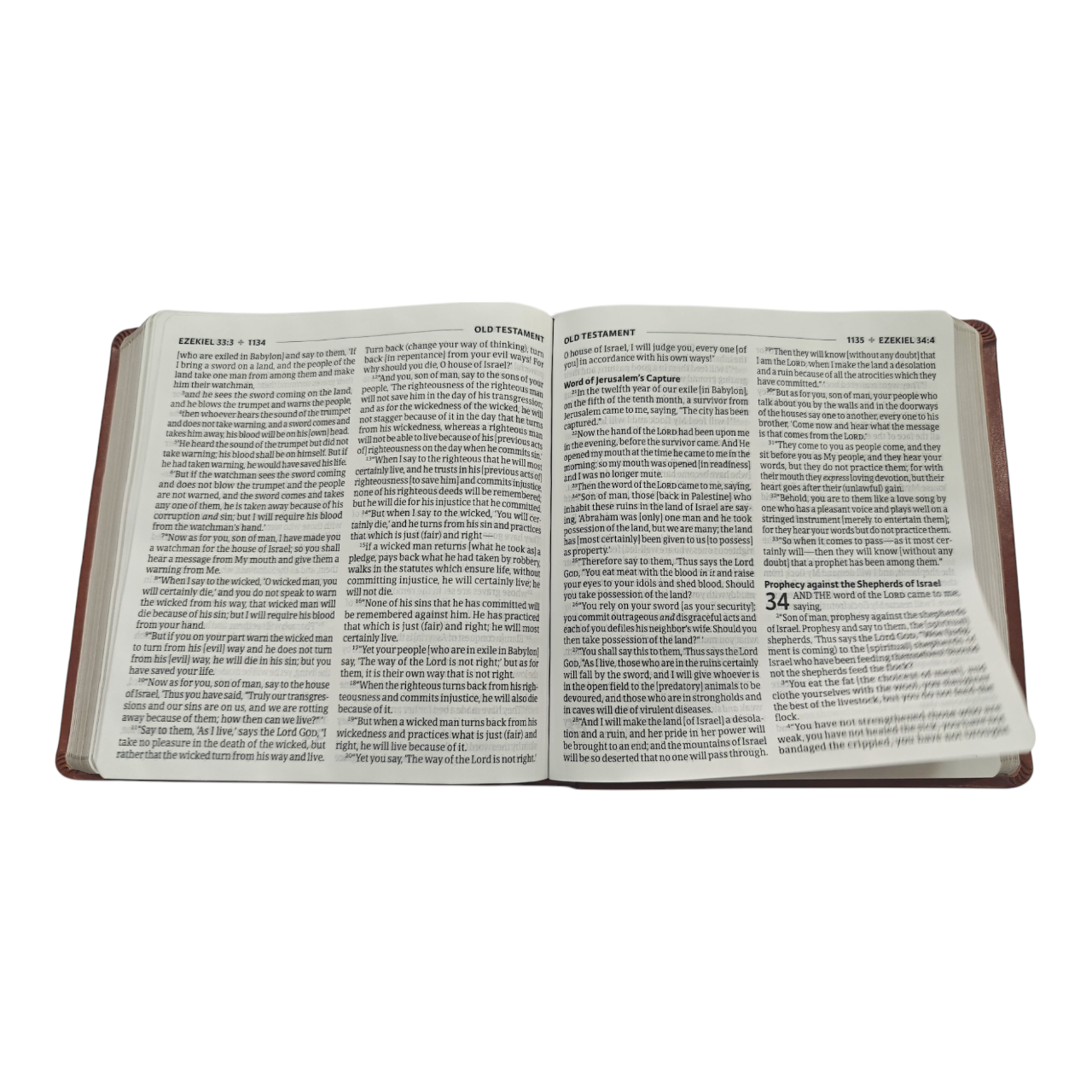 Amplified Holy Bible, XL Edition, Leathersoft, Brown