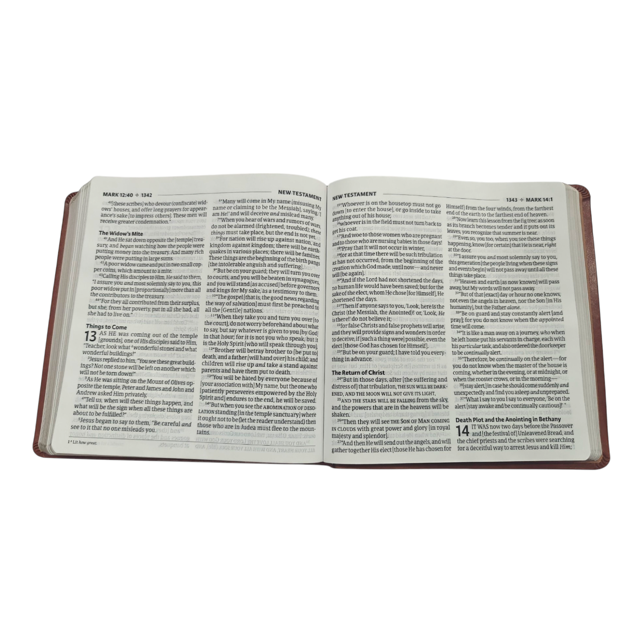 Amplified Holy Bible, XL Edition, Leathersoft, Brown