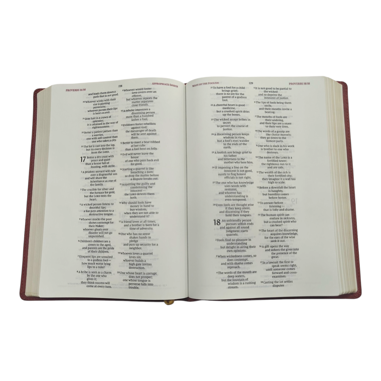 NIV Wide-Margin Bible, Leathersoft, Red Letter, Comfort Print