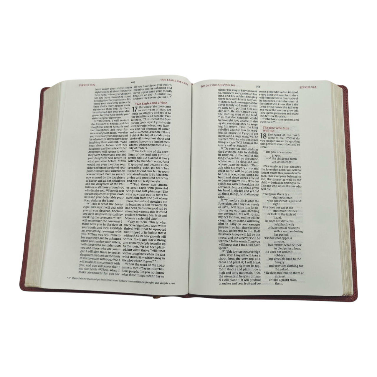 NIV Wide-Margin Bible, Leathersoft, Red Letter, Comfort Print