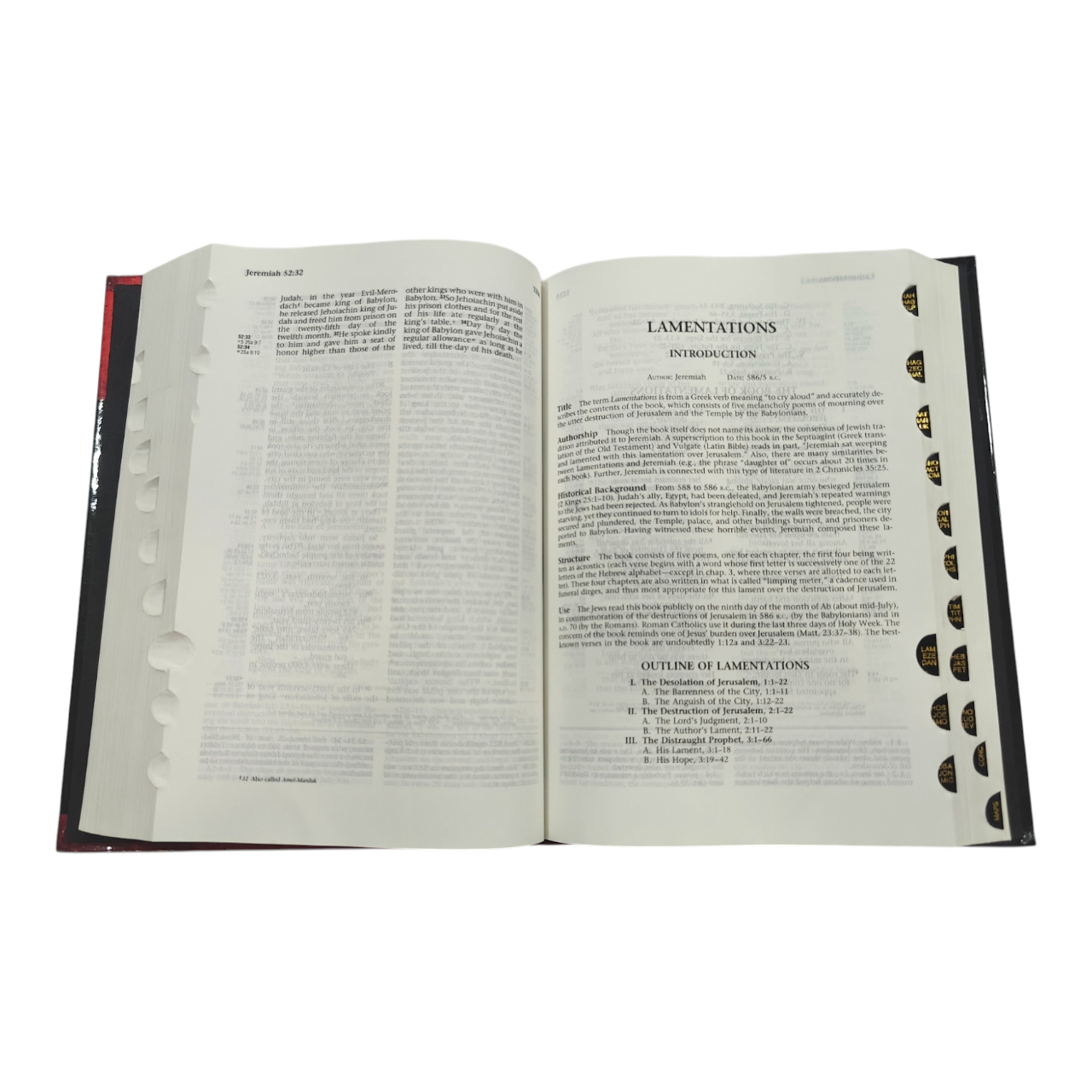 The Ryrie NIV Study Bible, Expanded Edition, 10,000+ Explanatory Notes, Red Letter (Charles C. Ryrie, Moody)